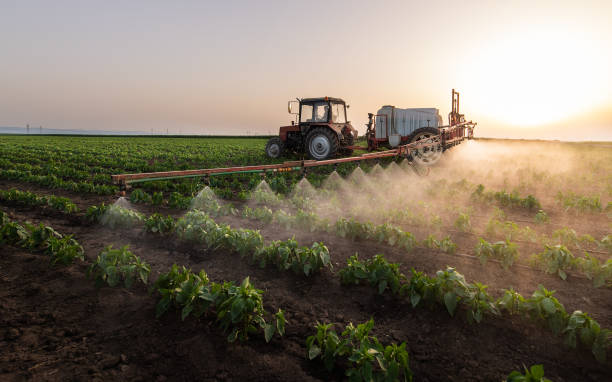 Best Commercial Pest Control Services  in Walthourville, GA