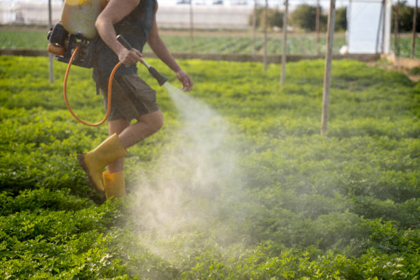 Best Affordable Pest Control Services  in Walthourville, GA