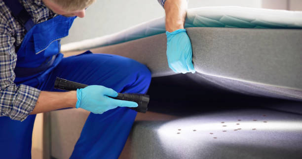 Best Wasp Removal Services  in Walthourville, GA